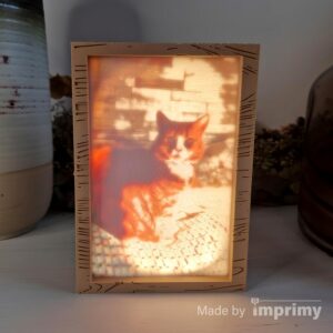 Color lithophanie of a cat and light box